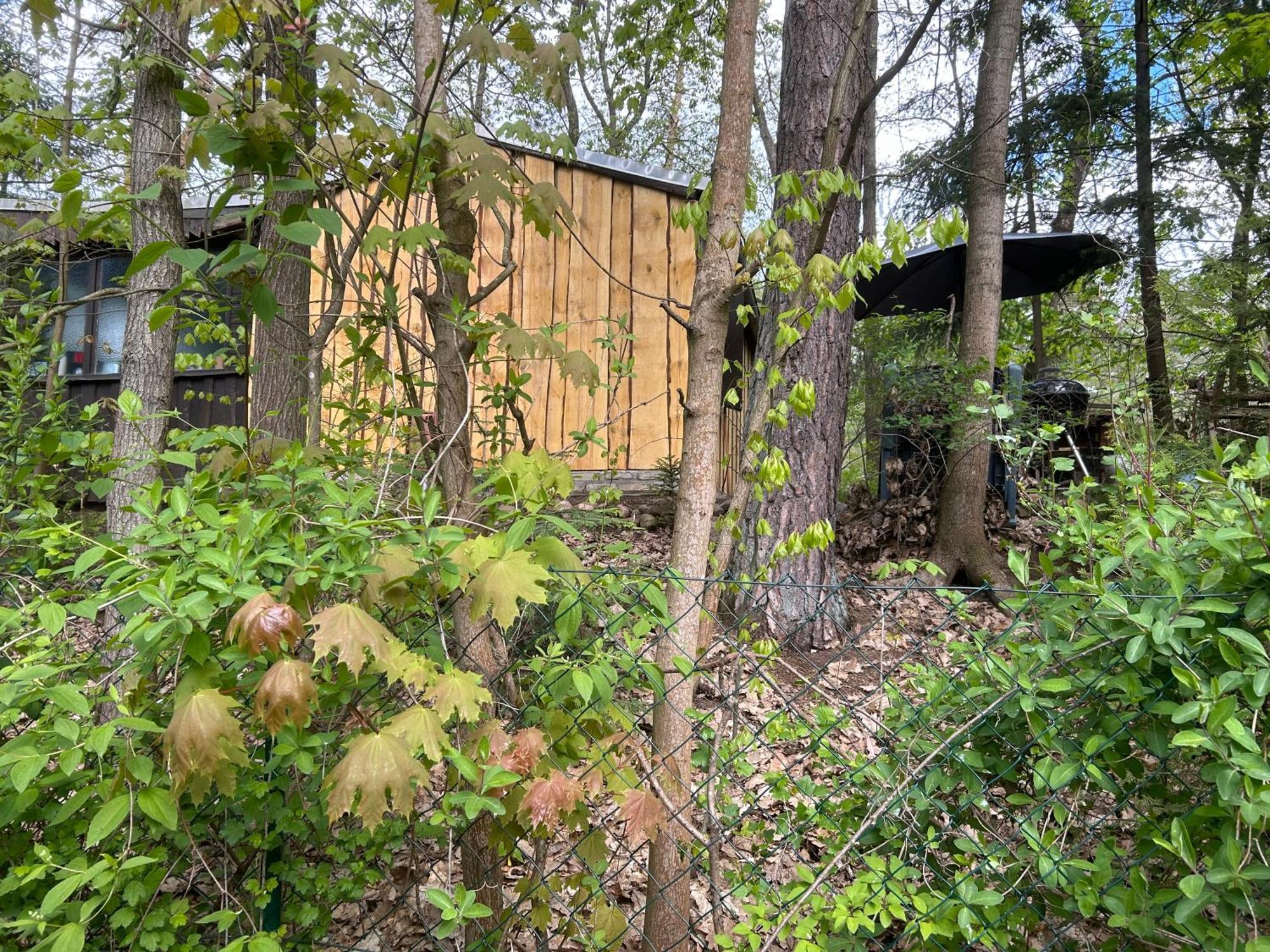 Bungalow Biberspur Zieko 外观 照片